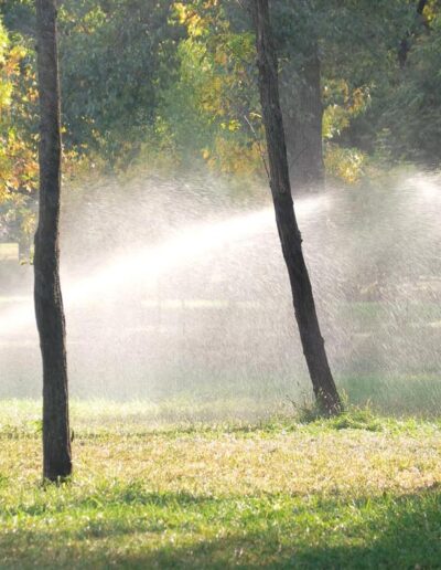 Services Sprinklers and Irrigation